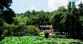 長(zhǎng)沙出發(fā)到花明樓、韶山、張家界國(guó)家森林公園、天門仙山國(guó)家森林公園四日游